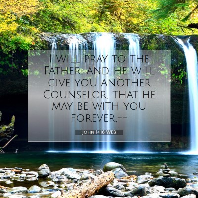 Picture 07 - John 14:16 WEB - I will pray to the Father, and he will give you - Bible Verse Picture