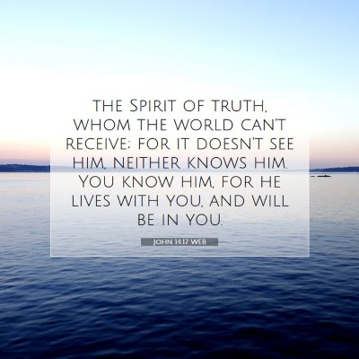 Picture 07 - John 14:17 WEB - the Spirit of truth, whom the world can't - Bible Verse Picture