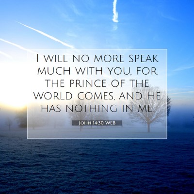 Picture 07 - John 14:30 WEB - I will no more speak much with you, for the - Bible Verse Picture