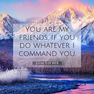 Picture 07 - John 15:14 WEB - You are my friends, if you do whatever I command - Bible Verse Picture