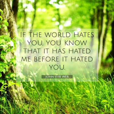 Picture 07 - John 15:18 WEB - If the world hates you, you know that it has - Bible Verse Picture