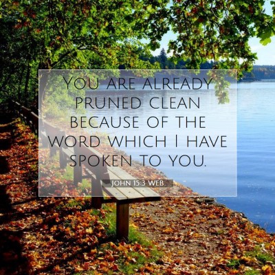 Picture 07 - John 15:3 WEB - You are already pruned clean because of the word - Bible Verse Picture