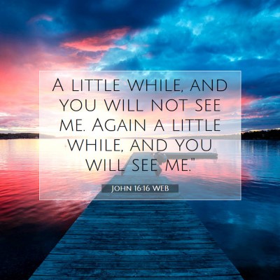 Picture 07 - John 16:16 WEB - A little while, and you will not see me. Again a - Bible Verse Picture