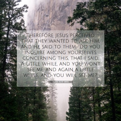 Picture 07 - John 16:19 WEB - Therefore Jesus perceived that they wanted to ask - Bible Verse Picture