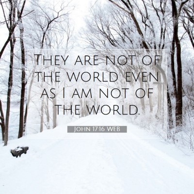 Picture 07 - John 17:16 WEB - They are not of the world even as I am not of the - Bible Verse Picture
