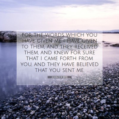 Picture 07 - John 17:8 WEB - for the words which you have given me I have - Bible Verse Picture