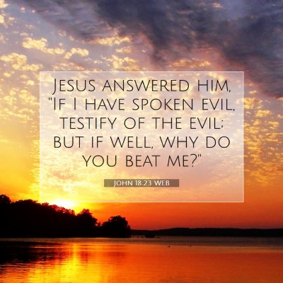 Picture 07 - John 18:23 WEB - Jesus answered him, 