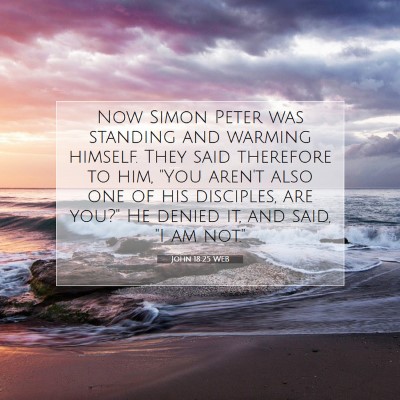 Picture 07 - John 18:25 WEB - Now Simon Peter was standing and warming himself. - Bible Verse Picture