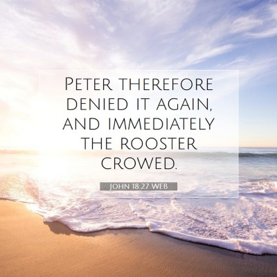Picture 07 - John 18:27 WEB - Peter therefore denied it again, and immediately - Bible Verse Picture