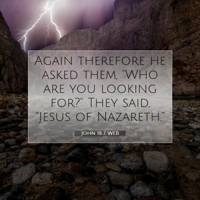 Picture 07 - John 18:7 WEB - Again therefore he asked them, 