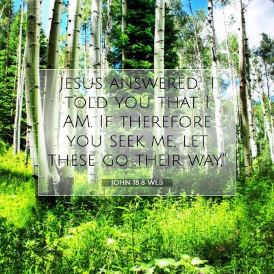 Picture 07 - John 18:8 WEB - Jesus answered, 