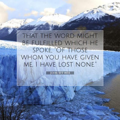 Picture 07 - John 18:9 WEB - that the word might be fulfilled which he spoke, - Bible Verse Picture