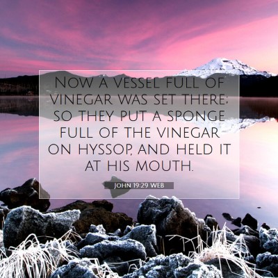 Picture 07 - John 19:29 WEB - Now a vessel full of vinegar was set there; so - Bible Verse Picture
