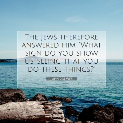 Picture 07 - John 2:18 WEB - The Jews therefore answered him, 