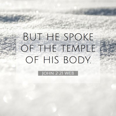 Picture 07 - John 2:21 WEB - But he spoke of the temple of his - Bible Verse Picture