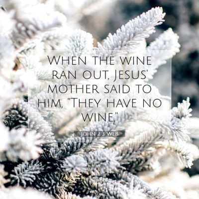 Picture 07 - John 2:3 WEB - When the wine ran out, Jesus' mother said to him, - Bible Verse Picture