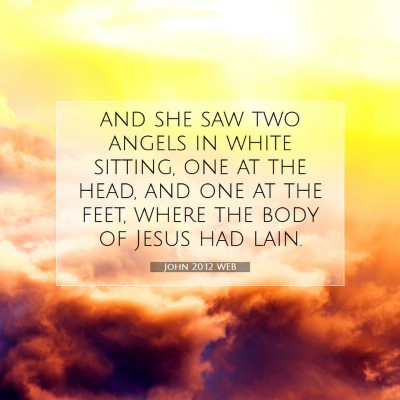 Picture 07 - John 20:12 WEB - and she saw two angels in white sitting, one at - Bible Verse Picture