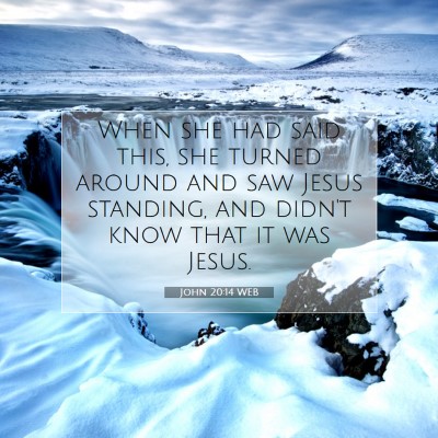 Picture 07 - John 20:14 WEB - When she had said this, she turned around and saw - Bible Verse Picture