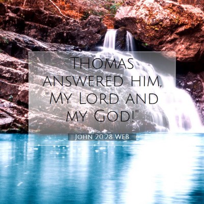 Picture 07 - John 20:28 WEB - Thomas answered him, 