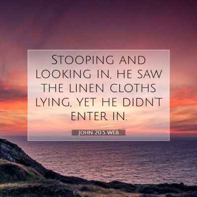 Picture 07 - John 20:5 WEB - Stooping and looking in, he saw the linen cloths - Bible Verse Picture