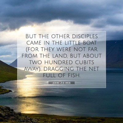 Picture 07 - John 21:8 WEB - But the other disciples came in the little boat - Bible Verse Picture