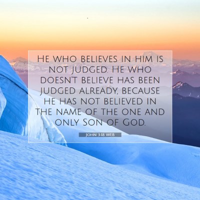 Picture 07 - John 3:18 WEB - He who believes in him is not judged. He who - Bible Verse Picture