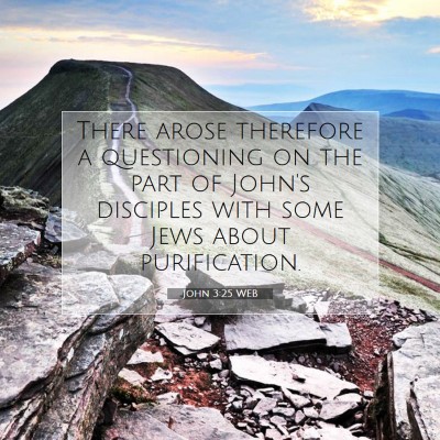 Picture 07 - John 3:25 WEB - There arose therefore a questioning on the part - Bible Verse Picture