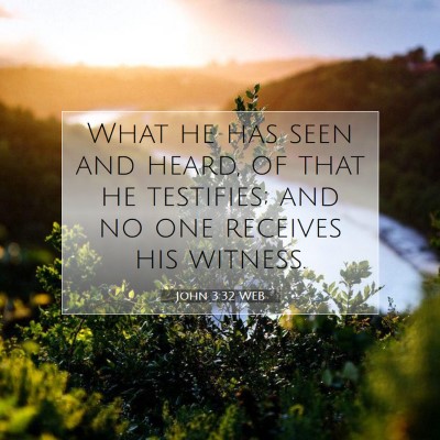 Picture 07 - John 3:32 WEB - What he has seen and heard, of that he testifies; - Bible Verse Picture