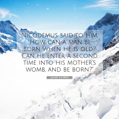 Picture 07 - John 3:4 WEB - Nicodemus said to him, 