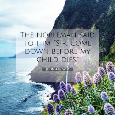 Picture 07 - John 4:49 WEB - The nobleman said to him, 