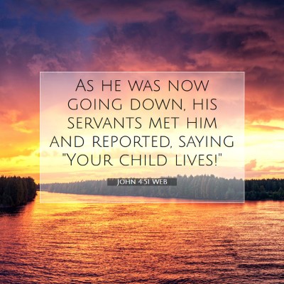 Picture 07 - John 4:51 WEB - As he was now going down, his servants met him - Bible Verse Picture