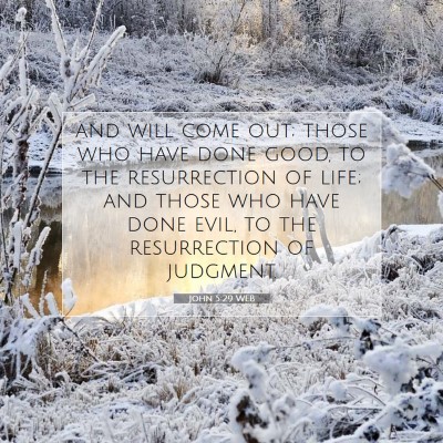 Picture 07 - John 5:29 WEB - and will come out; those who have done good, to - Bible Verse Picture