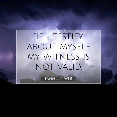 Picture 07 - John 5:31 WEB - 