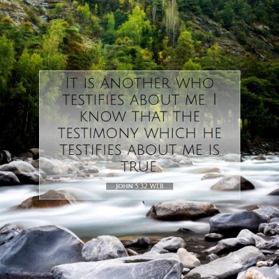 Picture 07 - John 5:32 WEB - It is another who testifies about me. I know that - Bible Verse Picture