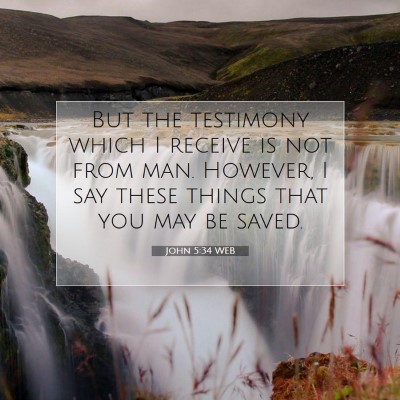 Picture 07 - John 5:34 WEB - But the testimony which I receive is not from - Bible Verse Picture