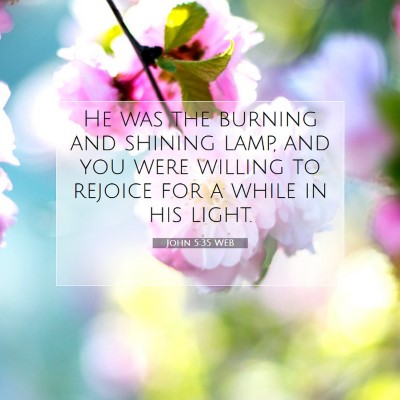 Picture 07 - John 5:35 WEB - He was the burning and shining lamp, and you were - Bible Verse Picture