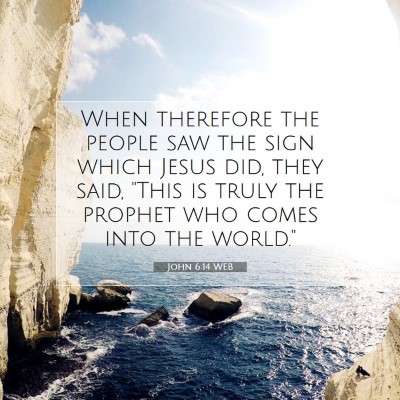 Picture 07 - John 6:14 WEB - When therefore the people saw the sign which - Bible Verse Picture