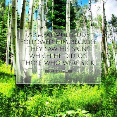 Picture 07 - John 6:2 WEB - A great multitude followed him, because they saw - Bible Verse Picture