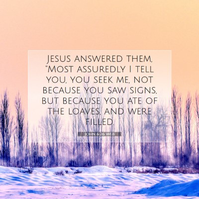 Picture 07 - John 6:26 WEB - Jesus answered them, 