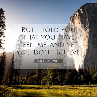 Picture 07 - John 6:36 WEB - But I told you that you have seen me, and yet you - Bible Verse Picture