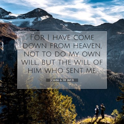 Picture 07 - John 6:38 WEB - For I have come down from heaven, not to do my - Bible Verse Picture