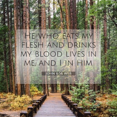 Picture 07 - John 6:56 WEB - He who eats my flesh and drinks my blood lives in - Bible Verse Picture