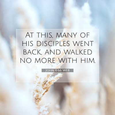 Picture 07 - John 6:66 WEB - At this, many of his disciples went back, and - Bible Verse Picture