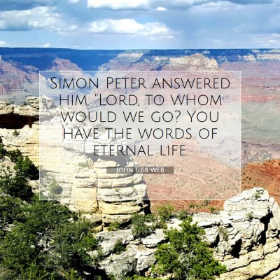 Picture 07 - John 6:68 WEB - Simon Peter answered him, 
