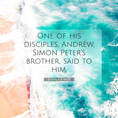 Picture 07 - John 6:8 WEB - One of his disciples, Andrew, Simon Peter's - Bible Verse Picture