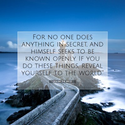 Picture 07 - John 7:4 WEB - For no one does anything in secret, and himself - Bible Verse Picture