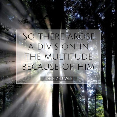 Picture 07 - John 7:43 WEB - So there arose a division in the multitude - Bible Verse Picture