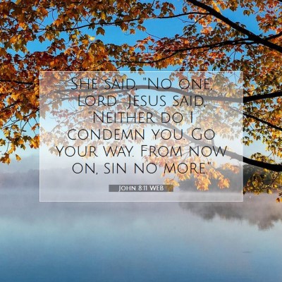 Picture 07 - John 8:11 WEB - She said, 