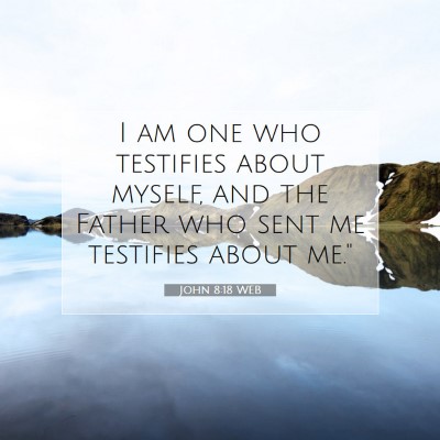 Picture 07 - John 8:18 WEB - I am one who testifies about myself, and the - Bible Verse Picture