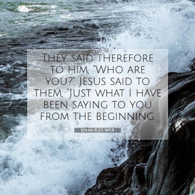 Picture 07 - John 8:25 WEB - They said therefore to him, 